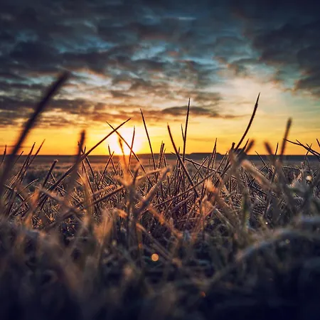 Appartementhaus Westerloog 16 سبيكيرأوخ