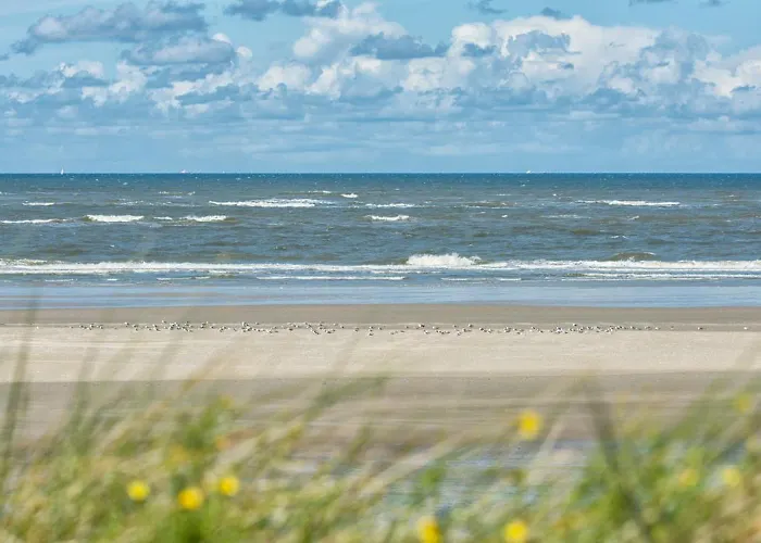 Апартаменты Appartementhaus Westerloog 16 *